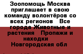 Зоопомощь.Москва приглашает в свою команду волонтёров со всех регионов - Все города Животные и растения » Пропажи и находки   . Новгородская обл.